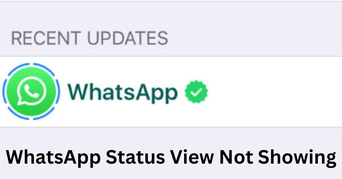 WhatsApp Status View Not Showing