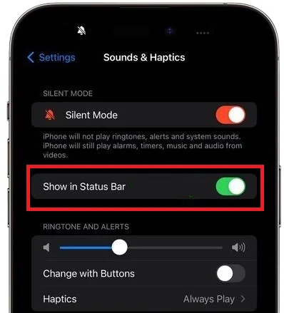 Remove Silent Mode Icon1