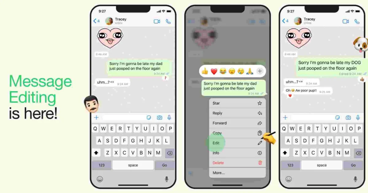 Edit WhatsApp Sent Messages