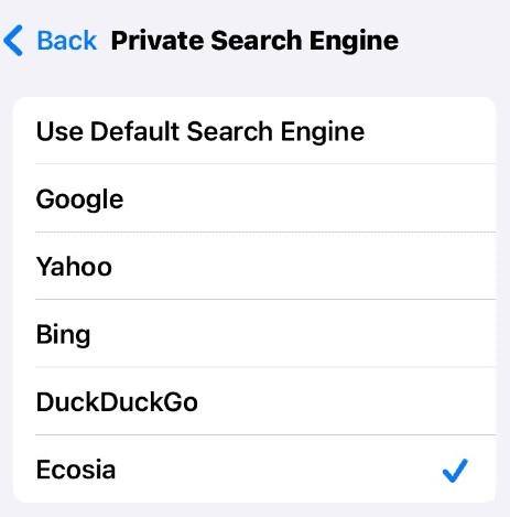 Default Private Search Engine1