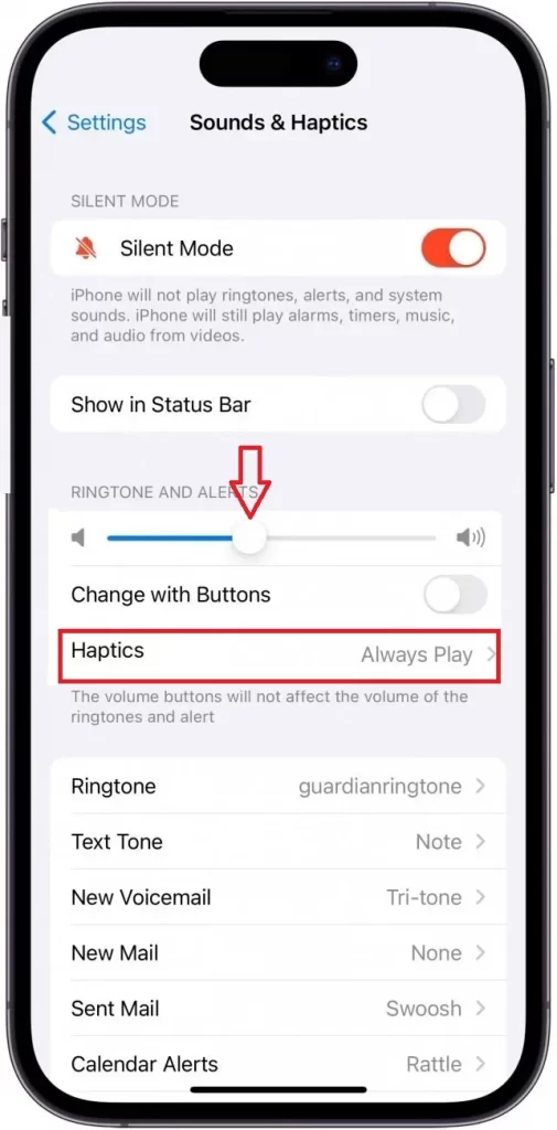 Resolve the Haptics Issue on Your iPhone1