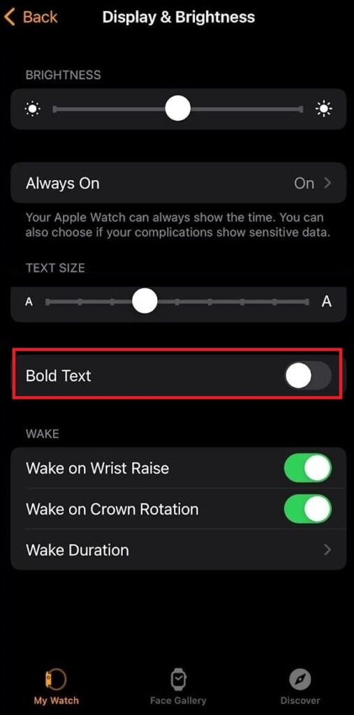 Change the Apple Watch Font2