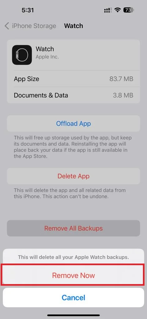 Remove Apple Watch Backup3