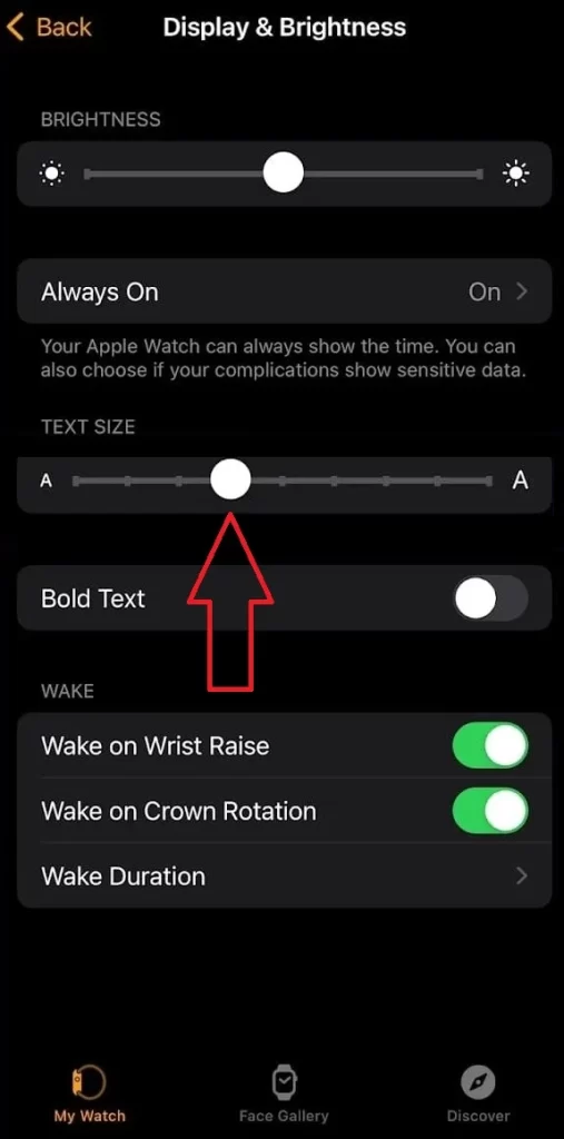 Change the Apple Watch Font1