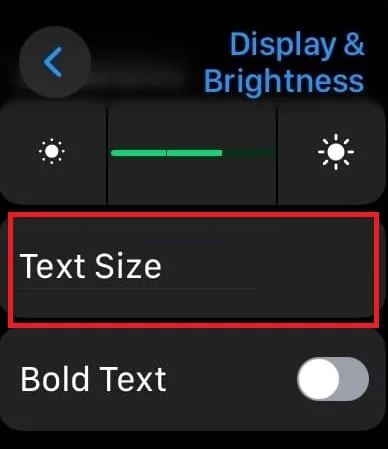 Change the Apple Watch Font3