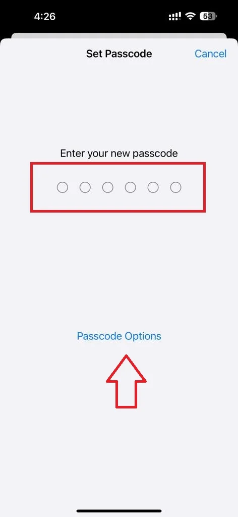 Set a Passcode on your iPhone 153