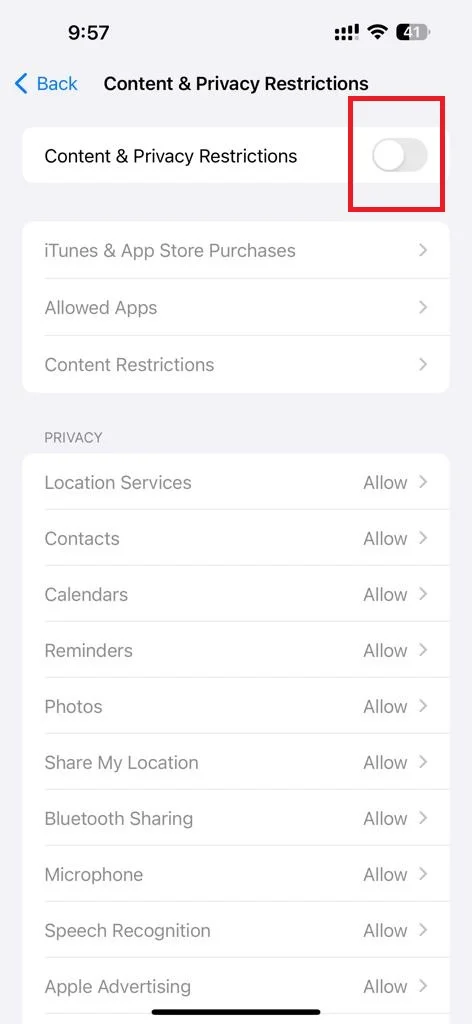 Block or Restrict Websites on iPhone6