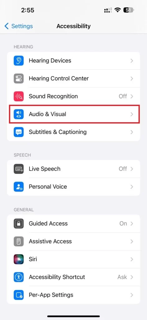 Make Your iPhone Louder6